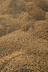 Mounds of Coffee Beans