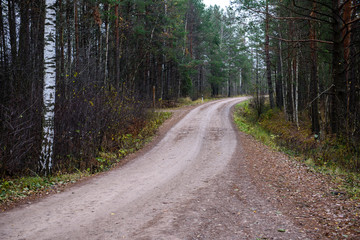 Fototapeta na wymiar empty forest road in the countryside in autumn. gravel surface