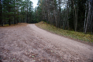 empty forest road in the countryside in autumn. gravel surface