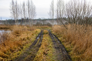 empty tractor road in the countryside in autumn. gravel surface