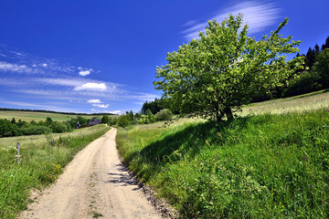 Fototapeta na wymiar Rural road and green field in Beskidy Mountains, Poland