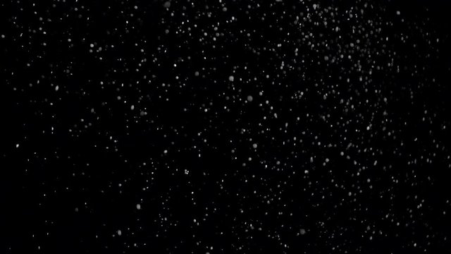 Several snow particles falling down over a black background that you can use as an overlay to add on top of your videos by changing the blending mode. Perfect for your holiday projects.
