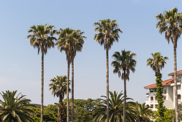 Obraz premium jeju nature, korea