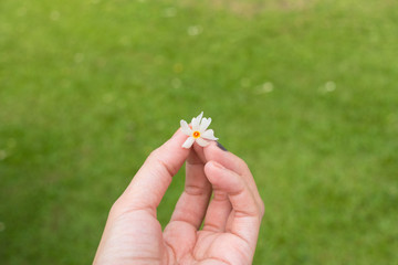 hand holding flower delivery