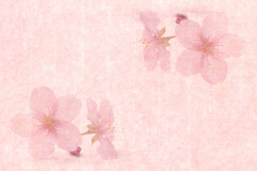 桜の花 和紙背景