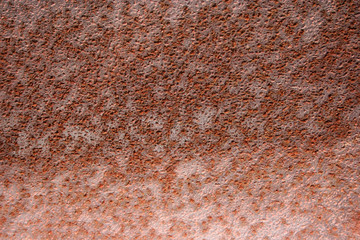 brown rust