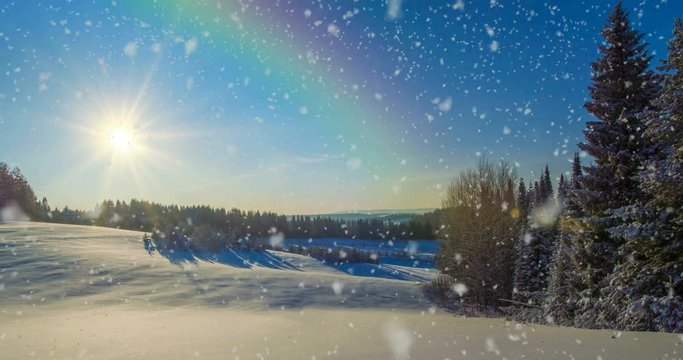 CINEMAGRAPH, 4k, falling snow in the winter forest, loop