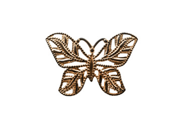 Butterfly brooch isolated