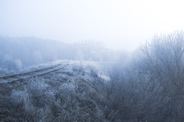 Obraz na płótnie Canvas Frosty misty morning landscape in the village.