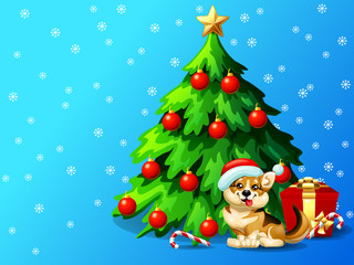 A dog of Welsh Corgi breed and a fir-tree with spheres and star, a Candy cane and gift box on blue with snowflakers. A vector illustration in cartoon style, horizontal
