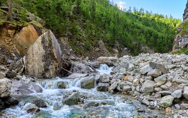 Deurstickers Mountain river in gorge © zhaubasar