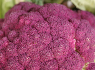 Purple Broccoli Vegan close-up macro