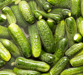 green cucumbers wash in water as a background