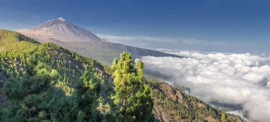 Schilderijen op glas Panorama of the volcano Teide and Orotava Valley - view from Mirador de Chipeque (Tenerife, Canary Islands)  © Henner Damke