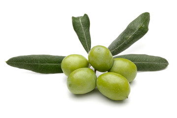 Olive