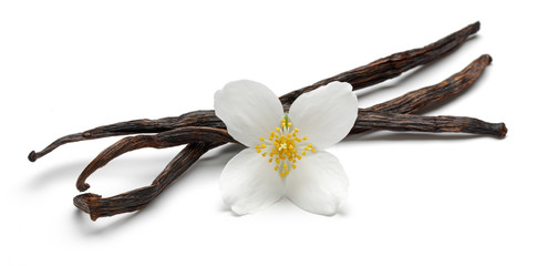 Vanilla sticks