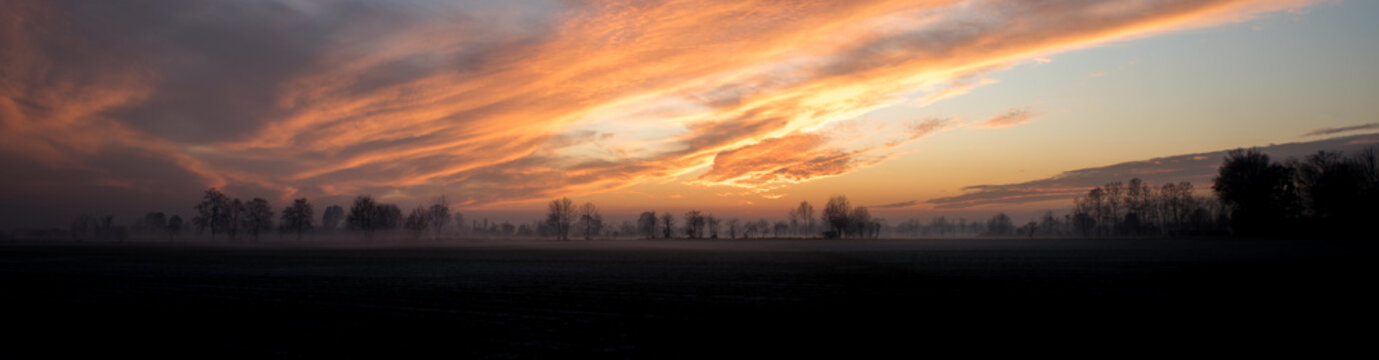 Tramonto con alberi e nebbia