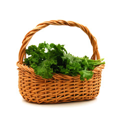 Fototapeta na wymiar Fresh Curly Mustard Green Leaves in the basket