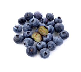 Blueberry collection isolated on white background