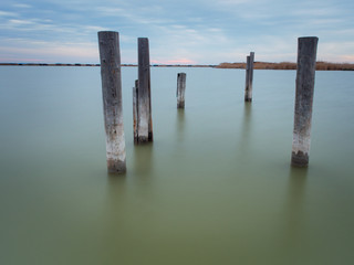 Neusiedlersee Baumstamm im Wasser bei Sonnenaufgang