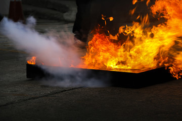 Employees firefighting training