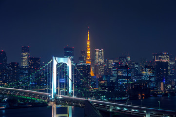 View of Tokyo cityscape at night in Japan.