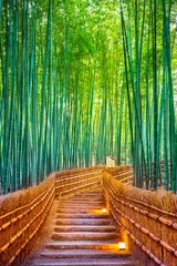 Papier Peint photo Japon Forêt de bambous à Kyoto, Japon.