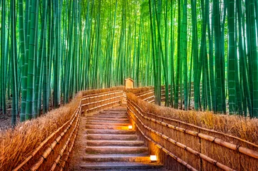 Gardinen Bambuswald in Kyoto, Japan. © tawatchai1990