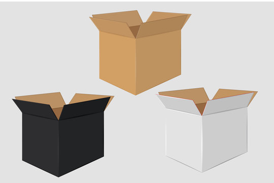 Cardboard Open Box. Side View. Package Design