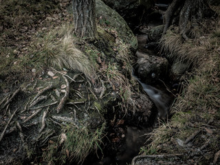 Small forest waterfall