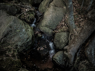 Small forest waterfall