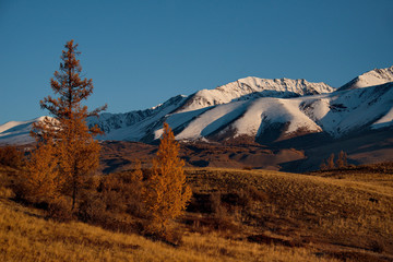 Fototapeta premium Russia. The South Of Western Siberia, Autumn in the Altai Mountains, the Chuya river.