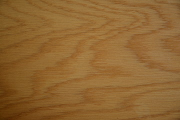 Linden  tree texture, wallpaper, close up, background.