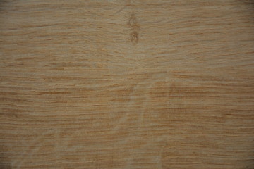 Pine tree texture, wallpaper, close up, background.