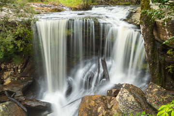 Obraz premium View of peaceful waterfall in the tropical rainforest, waterfall in Phu Kradueng National Park, Loei Province, Thailand
