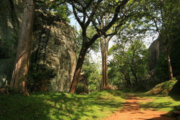 Forrest and rocks in Sigiriya, Sri Lanka
