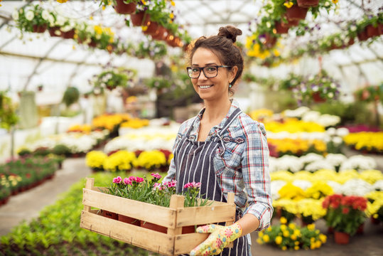 Portrait of charming beautiful happy middle-aged florist woman standing in the large greenhouse full of flowers and looking at the camera while holding the wooden box with few flowerpots and flowers.