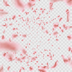 Fly pink Sakura petals effect isolated on transparent background. EPS 10 vector
