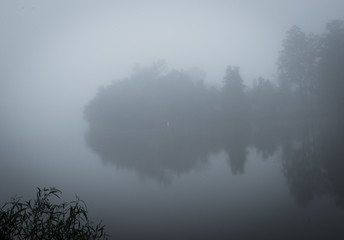 Obraz na płótnie Canvas Foggy morning at the LSU lakes in Baton Rouge