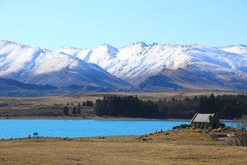 Obraz premium Lake Tekapo in Newzealand