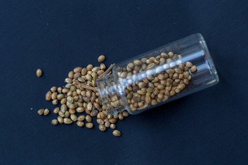 Cannabis seeds (Drugs)