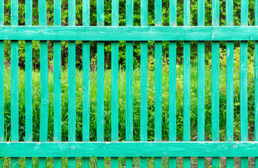 Meadow seen through boards of the green fence