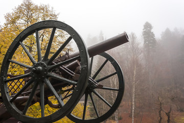 Infantry cannon from Peles castle museum gate