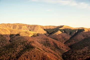 Mountain peaks in a warm bright sunlight.Fir trees downwards