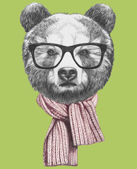 Portrait of Bear with glasses and scarf,  hand-drawn illustration
