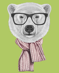 Portrait of Polar Bear with glasses and scarf,  hand-drawn illustration