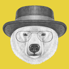 Portrait of Polar Bear with hat, hand-drawn illustration