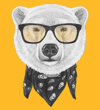 Portrait of Polar Bear with sunglasses and scarf, hand-drawn illustration