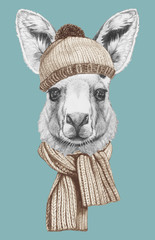 Portrait of Kangaroo with scarf and hat,  hand-drawn illustration