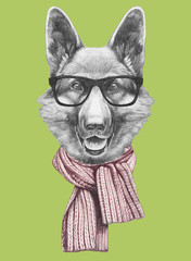 Portrait of German Shipherd with glasses and scarf,  hand-drawn illustration